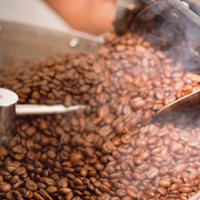 tostión y aleboracion del cafe